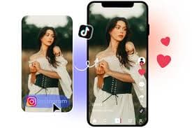 TikTok Watermark Remover